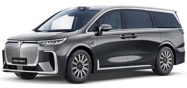 Текстильные коврики для Voyah Dream (2021->)
